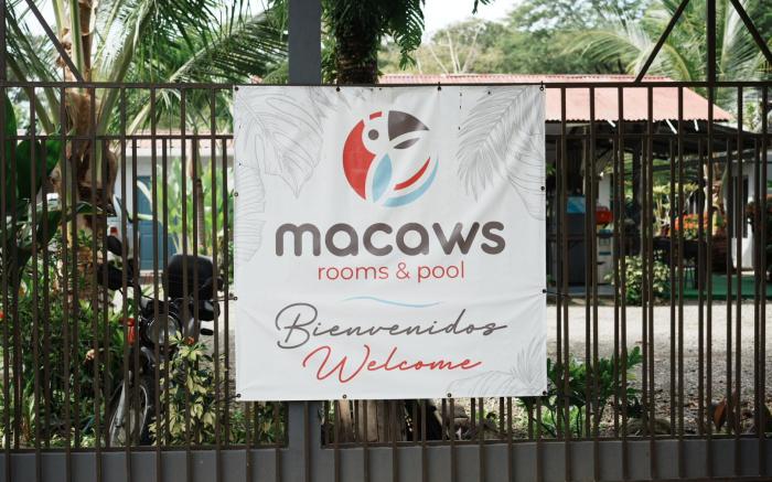Rooms & Pool Macaws