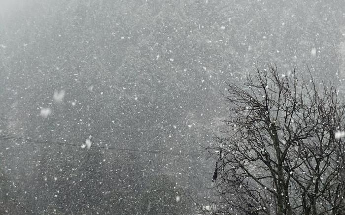 Ohana Cafe & Homestay