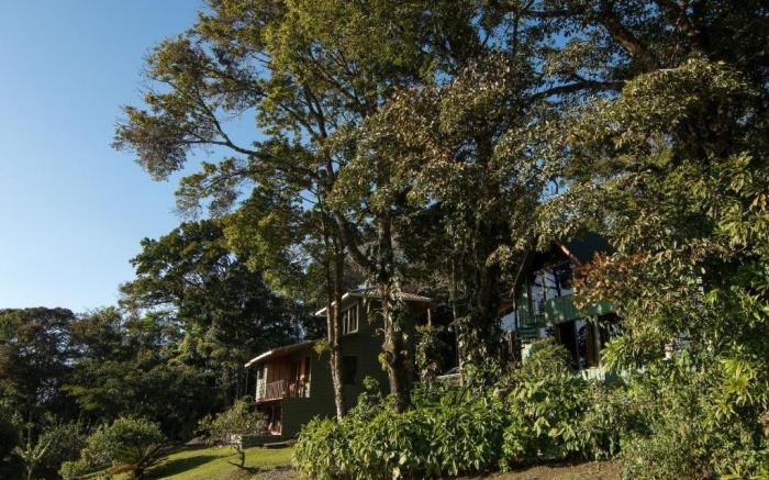Hotel Flor de Bromelia