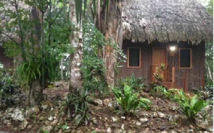 Mariposa Jungle Lodge