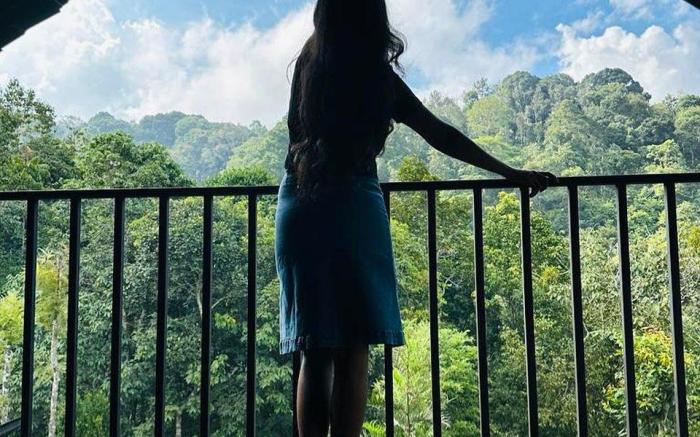 Treehouse Wayanad