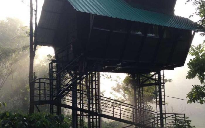 Treehouse Wayanad