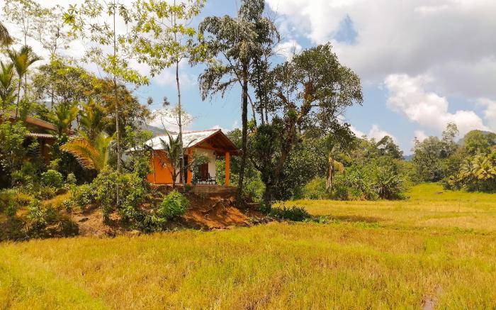 Traveller's Choice Sinharaja 
