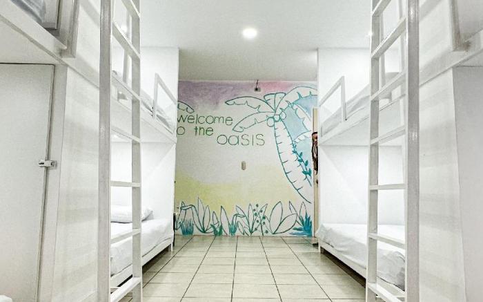 SJO Oasis Hostel
