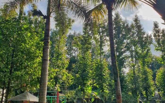 Jatimas Hijau Hotel & Villa