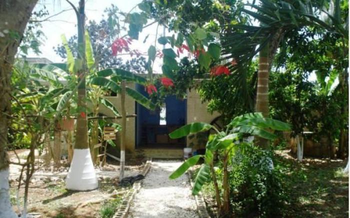 Yaxche Centro Hostal y Camping
