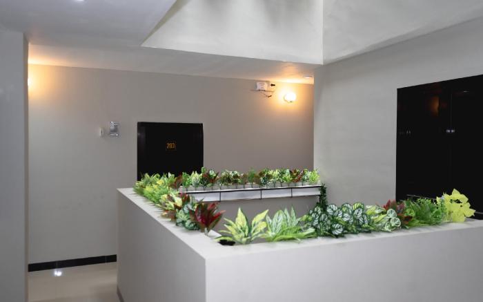 SABA AYU GUEST HOUSE