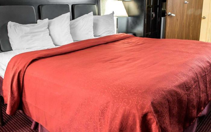 Quality Inn & Suites North