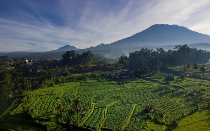 Shigar Livin Bali