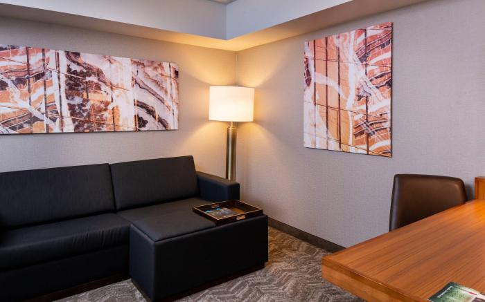 SpringHill Suites by Marriott Pittsburgh North Shore