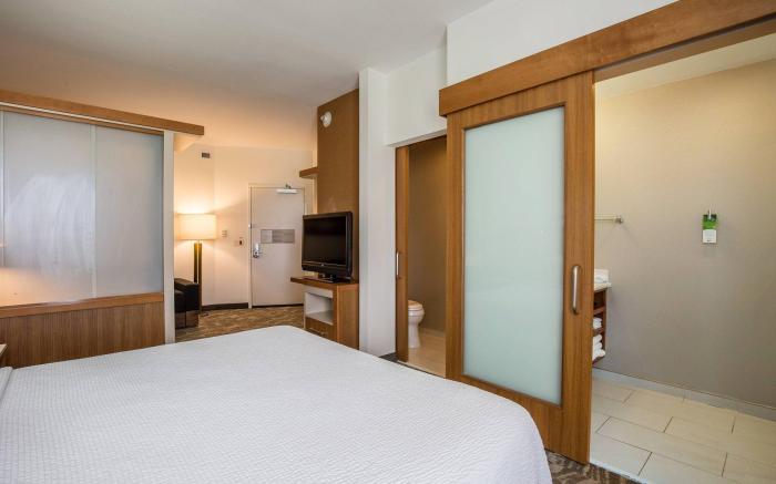 SpringHill Suites by Marriott Houston Rosenberg