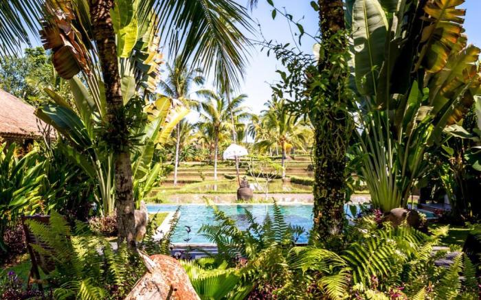 Hati Padi Cottages