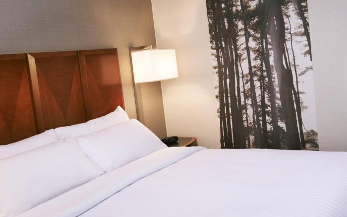 Detroit Metro Airport Marriott
