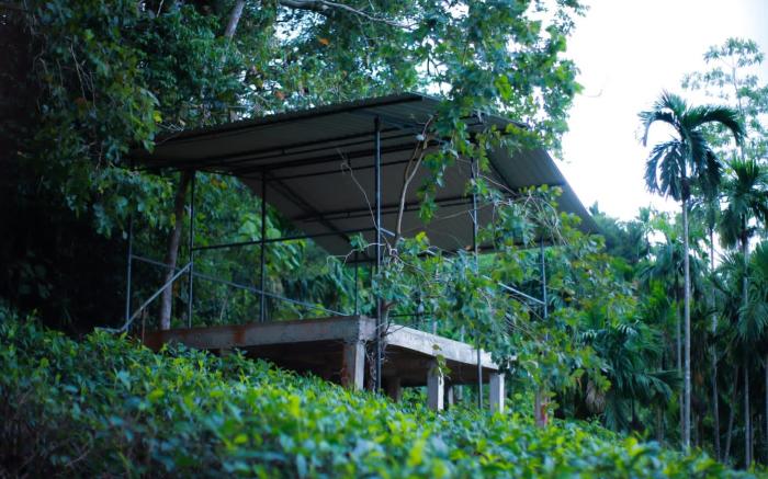Rainforest Lodge Deniyaya Singheraja