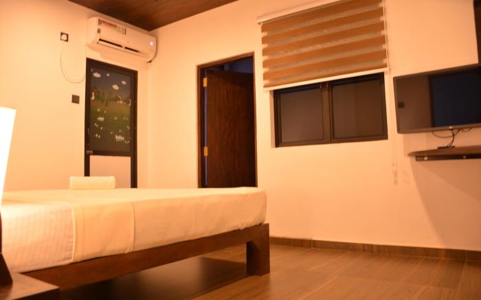 Amass Apartment