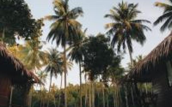 COCO Canopy Boutique Resort 