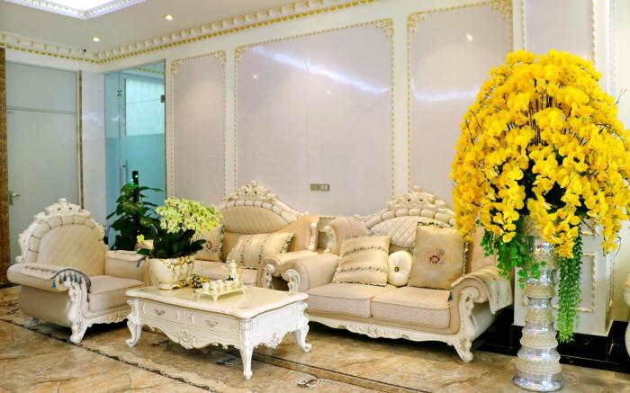 VIOLIN BACNINH HOTEL