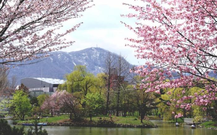 AT242 2 bedroom apartment in Sapporo 