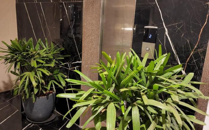 MYKA 401  Zanita Heights