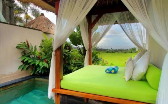 1BR Private Pool Villa with Ubud Padifield view