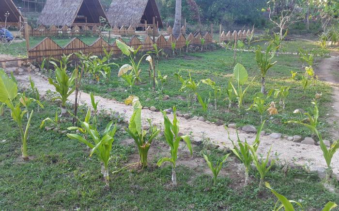 Harmony Healing Resort