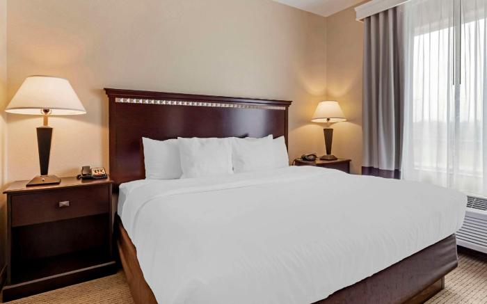 Comfort Suites Palestine