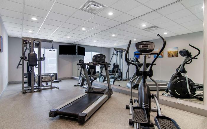 Comfort Suites McDonough Atlanta South