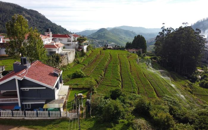 Tiger Hill Homestay