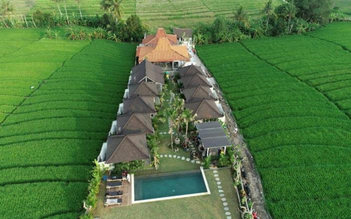 Villa Alisha