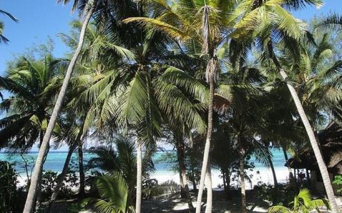 Panga Chumvi Beach Resort