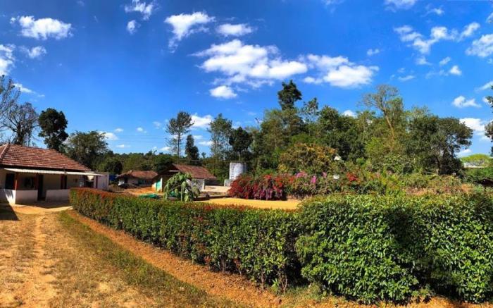 The Thota Mane - Private Villa in Coffee Estate
