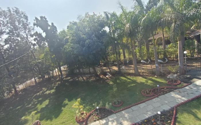 The Silver Palm 
