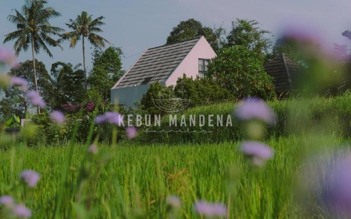 Kebun mandena farmstay