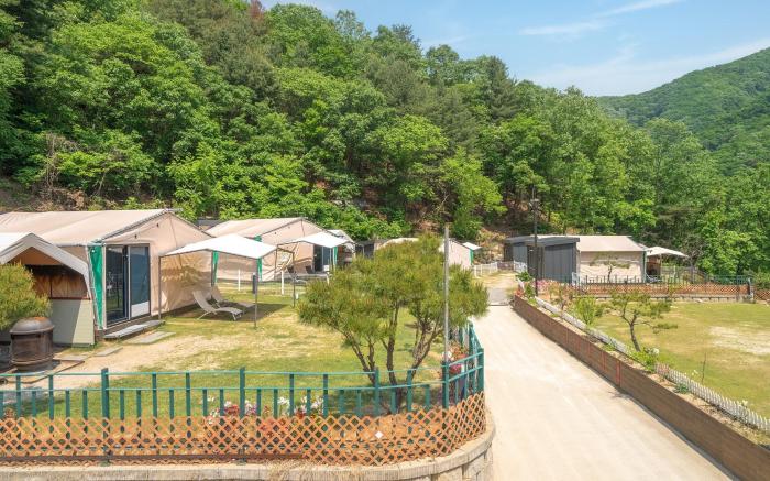 Gapyeong camp with pet & aegyeonglamping