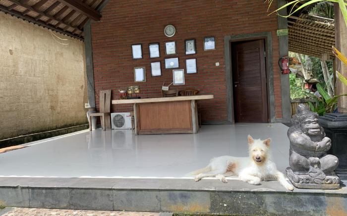 Bagiya Suites and Villas