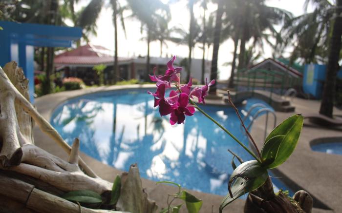 Appleton Little Paradise Resort & Restaurant