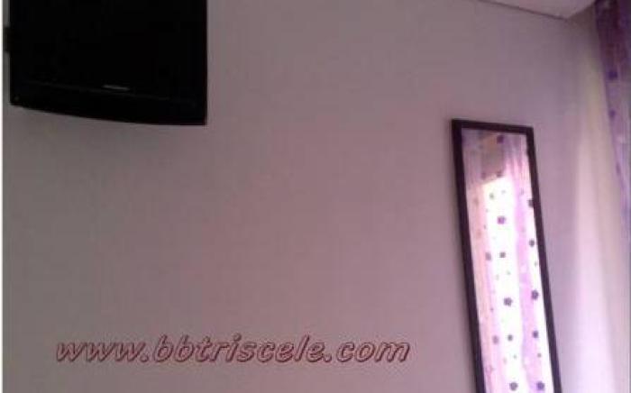 B&B New Triscele