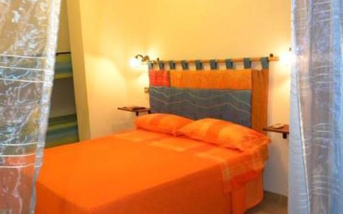 B&B New Triscele