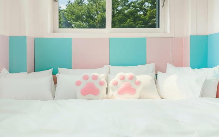 Pocheon luxjay pet Pension