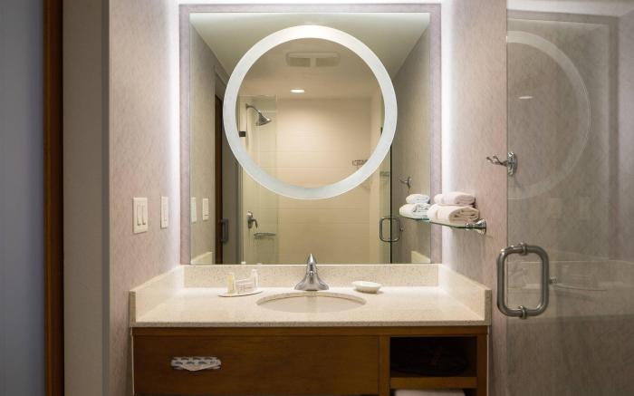 SpringHill Suites by Marriott Miami Downtown/Medical Center