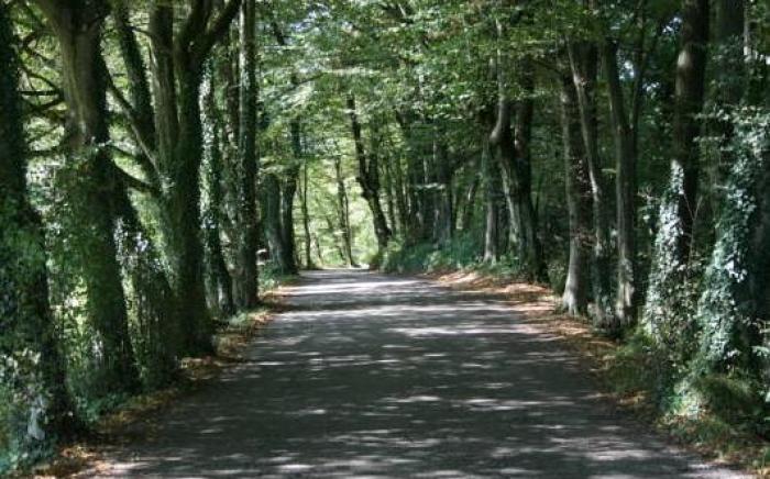 Villa San Liberale - Suites & Wellness - Villa Veneta