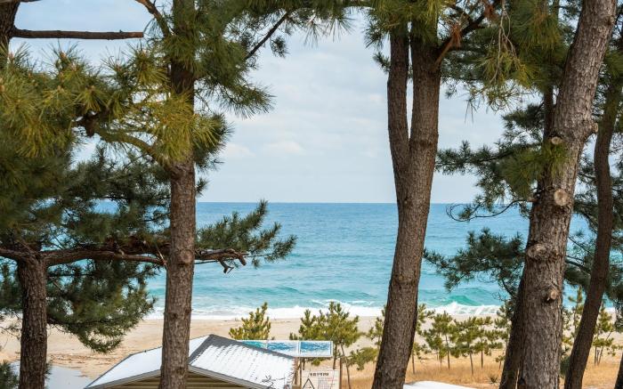 Samcheok Migaloo Pool Villa Pension