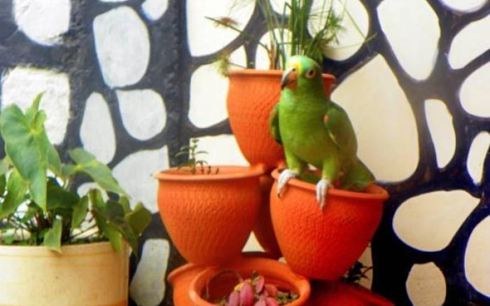 Posada Martha Tolima