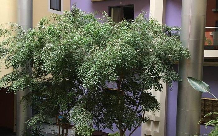 Ararat Hotel