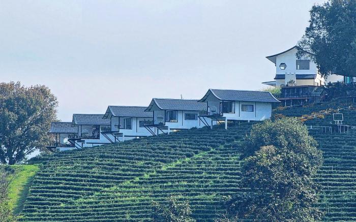 WATA KHIRI by WANG PUT TAN