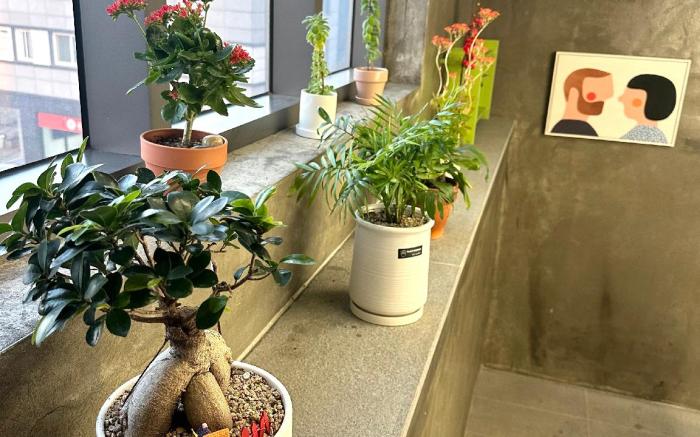 Incheon Airport Hue House (Double Room F)