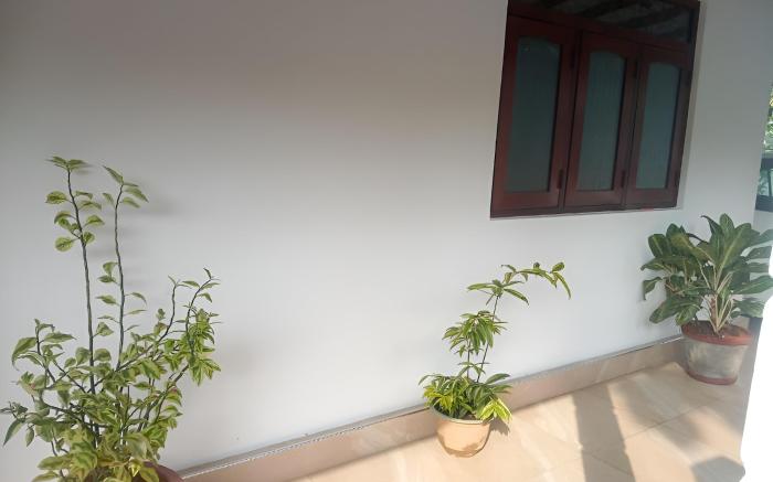 Amavi Heaven Villa