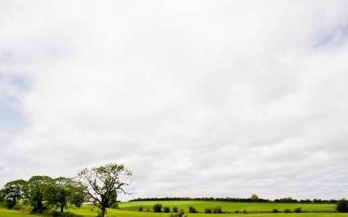 Bamflatt Farm Bed & Breakfast