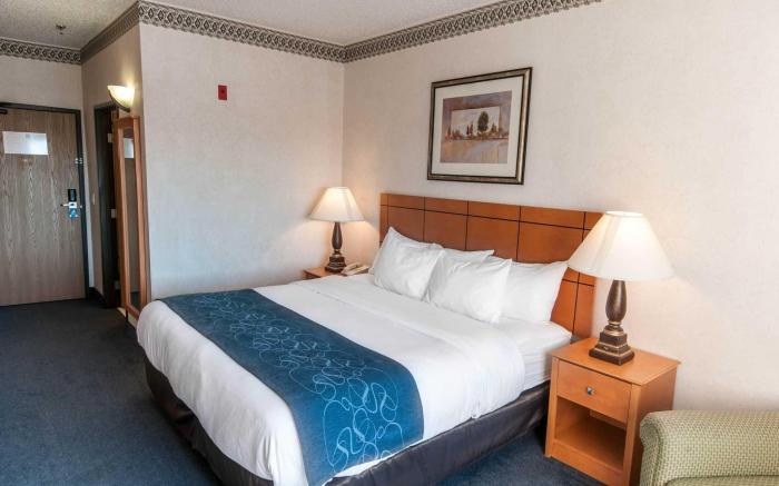 Comfort Suites   University
