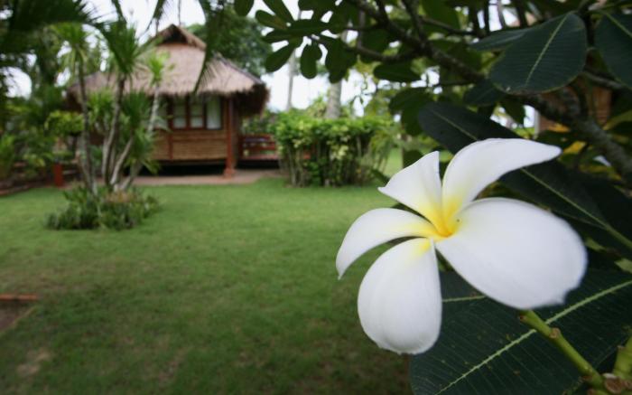 Suan Ban Krut Beach Resort